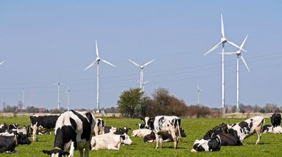 Fuentes de energía: Combustibles fósiles, nuclear y renovables