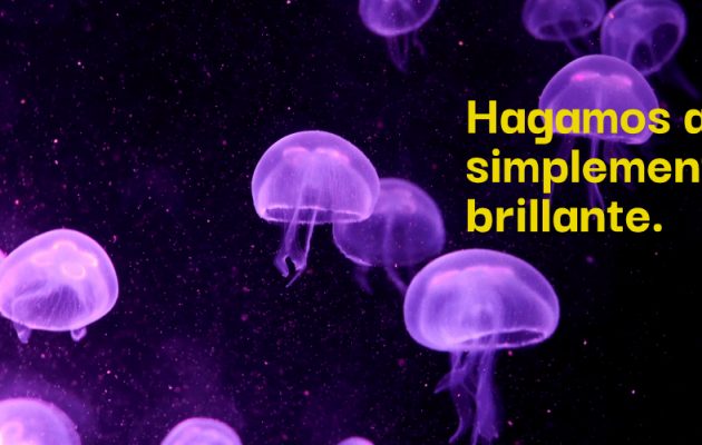 Hagamos algo simplemente brillante