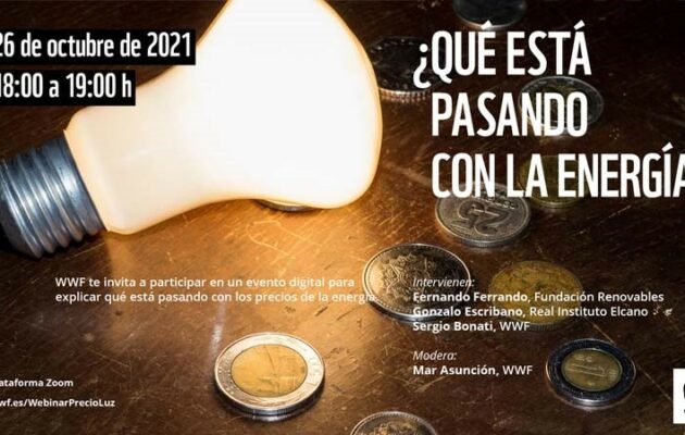¿Qué está pasando con la energía?