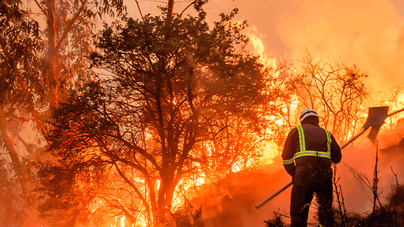 web_incendio_forestal_48199f2d31