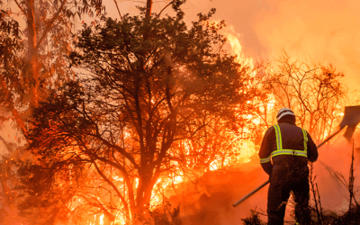 web_incendio_forestal_48199f2d31